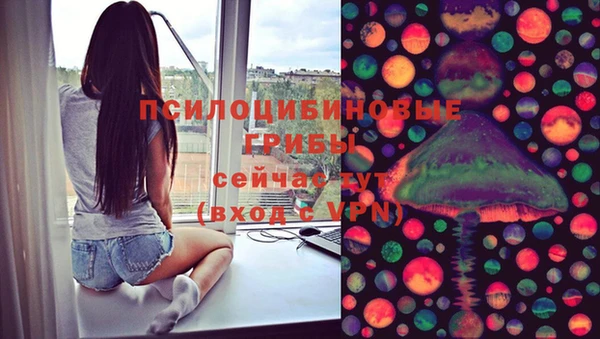 PSILOCYBIN Бугульма